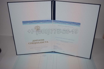 Диплом о Высшем Образовании 2022г СпецБланк в Новосибирске